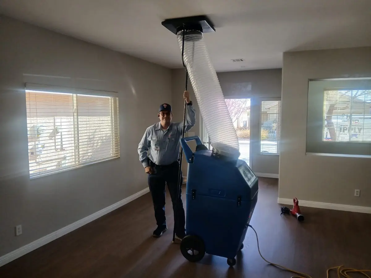 Professional Dryer Vent Cleaning work inside a Ardmore home
